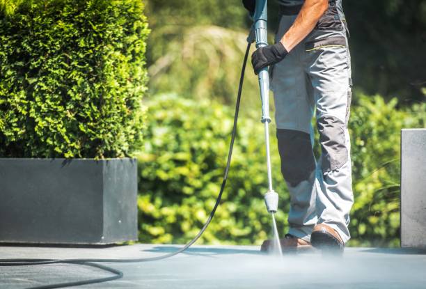 Best Pre-Holiday Cleaning  in Oakland, MO